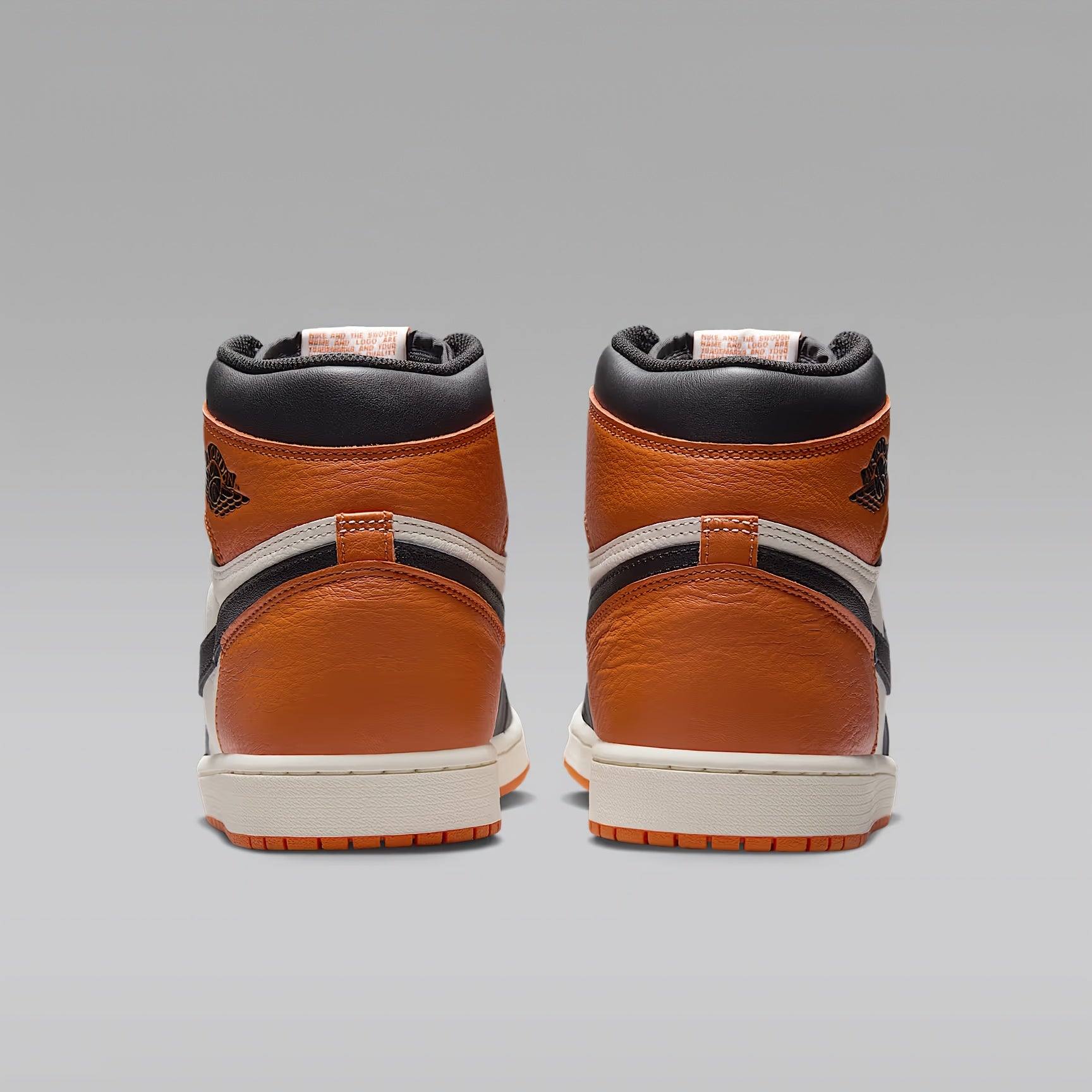 Nike Air Jordan 1 High OG "Shattered Backboard"